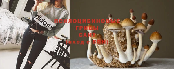 кристаллы Зеленодольск