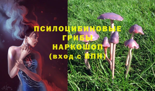 кристаллы Зеленодольск
