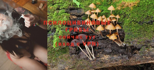 ALPHA PVP Зерноград