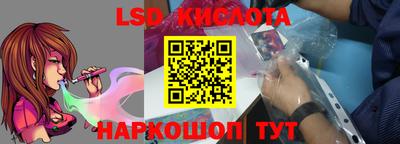 стафф Дубна