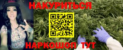 прущие крисы Аргун