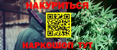стафф Дубна