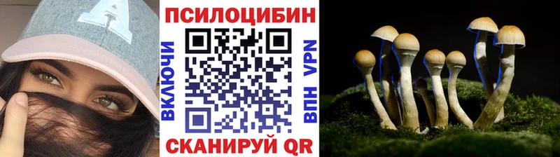 Галлюциногенные грибы GOLDEN TEACHER Купить закладки Майский