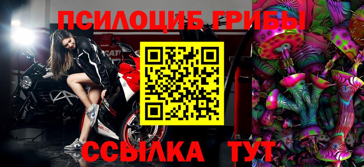 Псилоцибиновые грибы GOLDEN TEACHER Майский