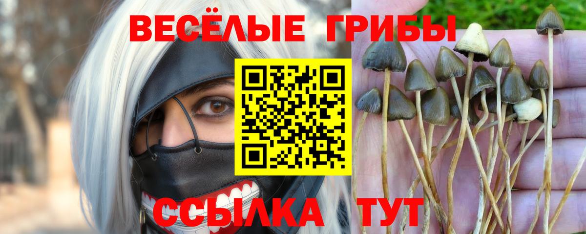 Галлюциногенные грибы MAGIC MUSHROOMS  где найти наркотики  Майский  Псилоцибиновые грибы Psilocybe  Вход с VPN 